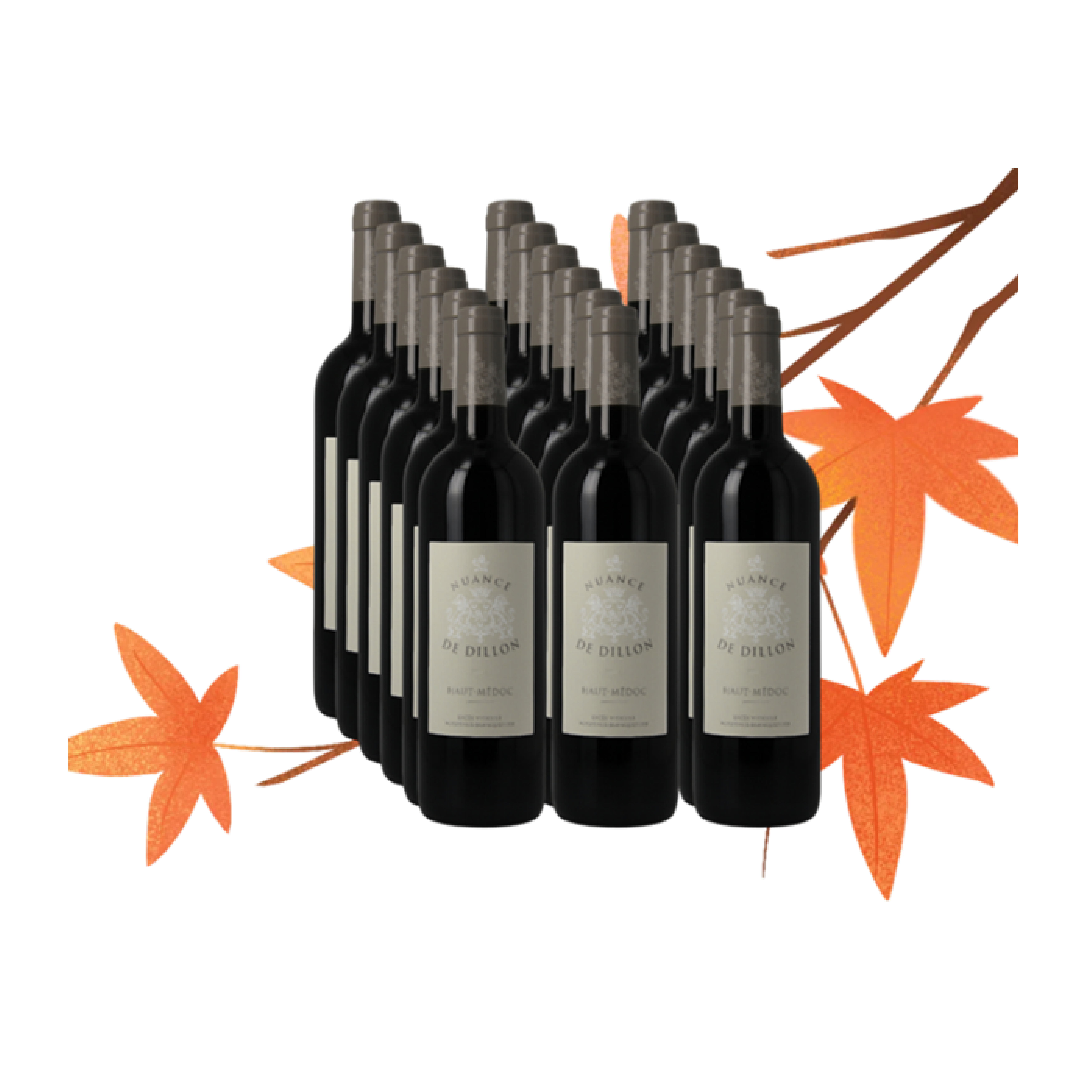 Offre d'Automne Nuance